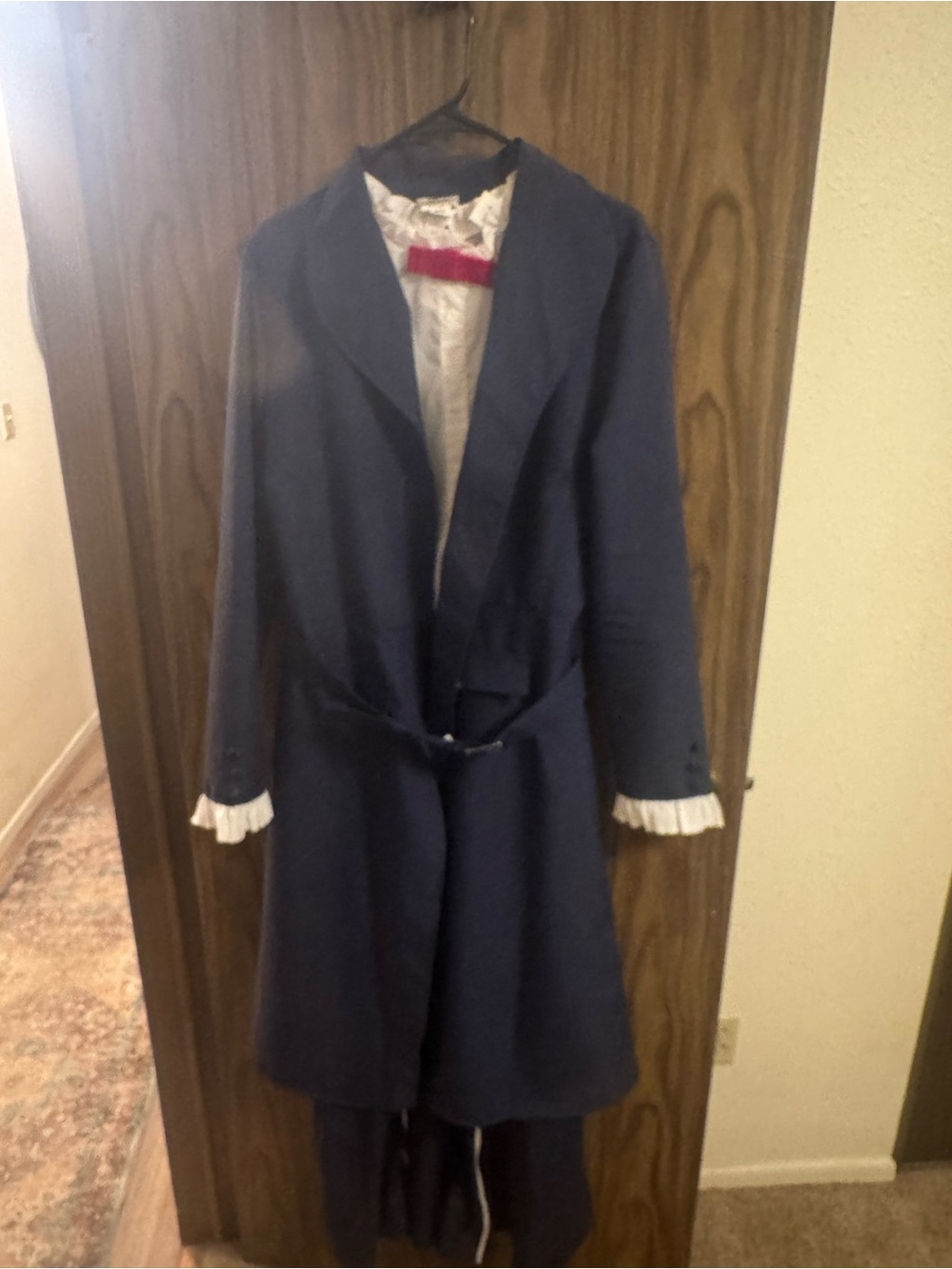 Disney Mary Poppins Costume
